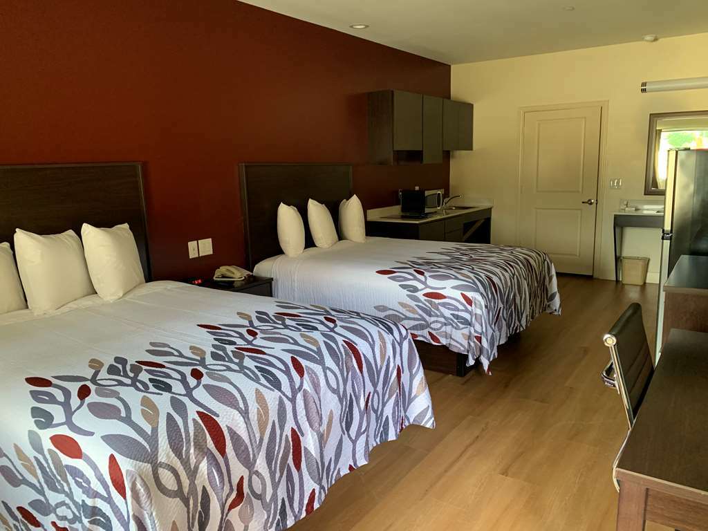 Red Roof Inn Houston - Willowbrook Louetta Kamer foto